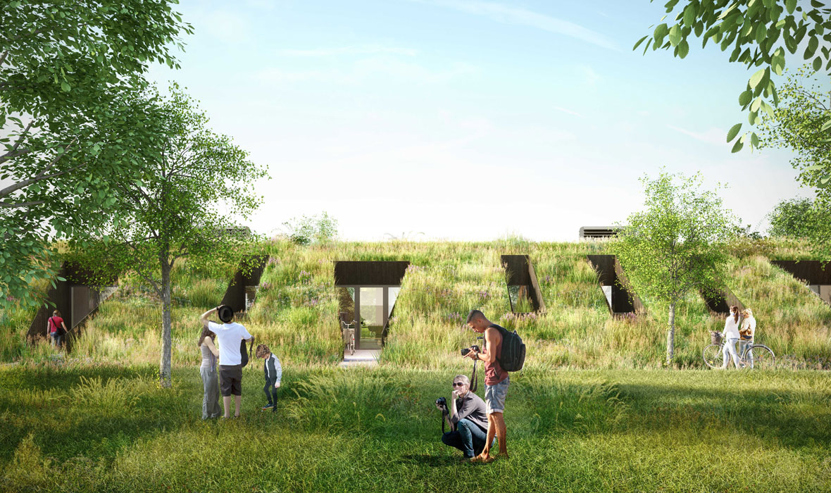Isolation inversée végétalisée de toit terrasse dans un projet résidentiel unique et neutre en énergie