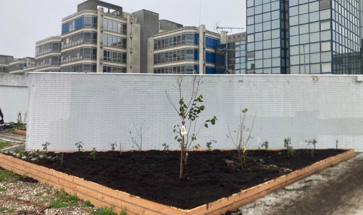 Ma salade à toit… Un isolant peut-il transformer une toiture de centre commercial en ferme urbaine ?
