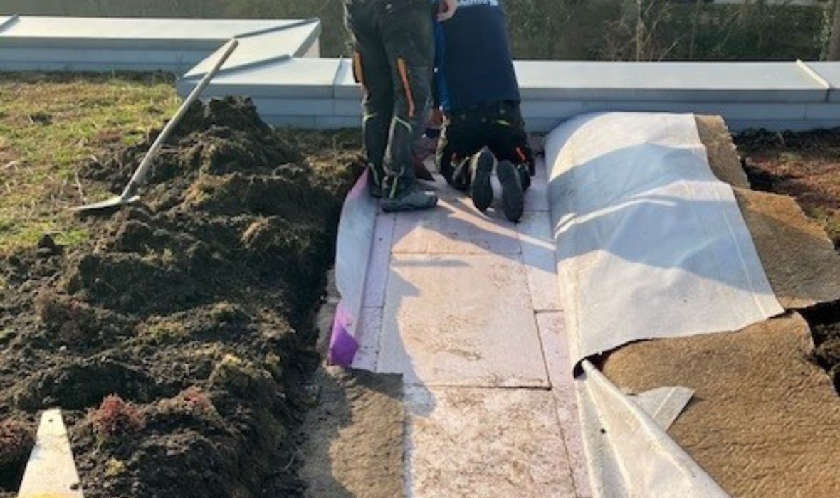 Essai longue durée en toiture inversée végétalisée